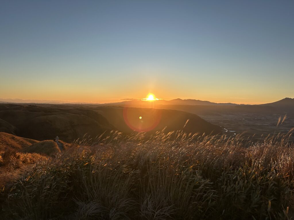 The scenery of a sunrise from an observation deck. The sun rises from behind the mountains, illuminating a field of pampas grass that glows golden in the morning light.