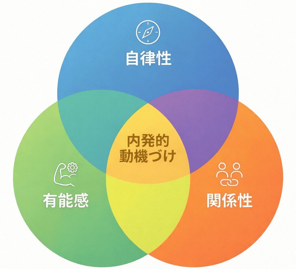 自己決定理論における内発的動機づけの三要素を示す図です。「自律性」「有能感」「関係性」の3つの円が重なり、中心に「内発的動機づけ」が生まれることを示しています。