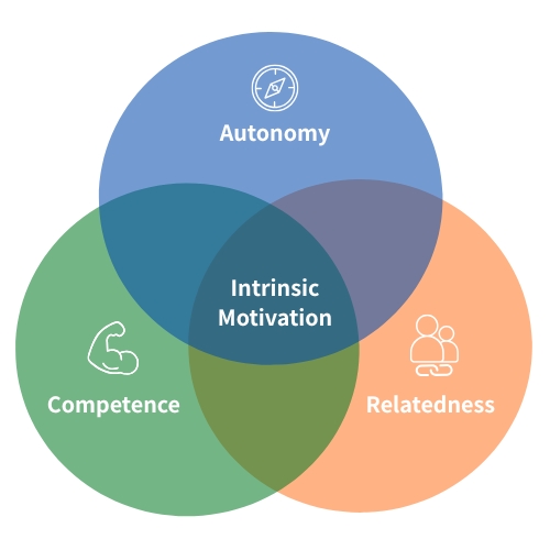 A Venn diagram illustrating Self-Determination Theory. Three circles overlap: the blue circle is labeled "Autonomy" (自律性) with a compass icon, the green circle is "Competence" (有能感) with a bicep icon, and the orange circle is "Relatedness" (関係性) with an icon of two people. The central area where all three intersect is labeled "Intrinsic Motivation" (内発的動機づけ).