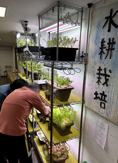 棚に並んだ植物や栽培用ライトの前で、参加者が水耕栽培の植物の手入れをしている様子。